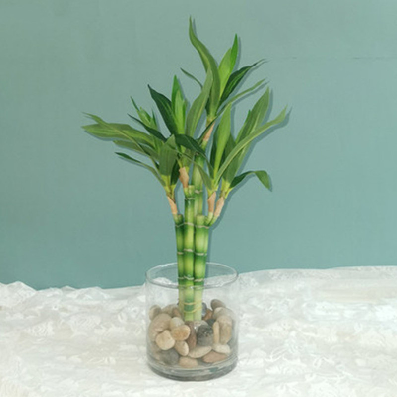 New 40cm rFtificial Lucky Bamb - огляд і ціна Desk Setup Plant