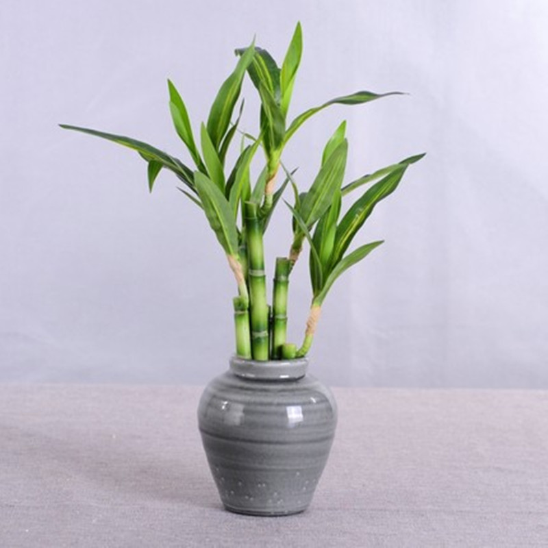 New 40cm rFtificial Lucky Bamb - огляд і ціна Desk Setup Plant