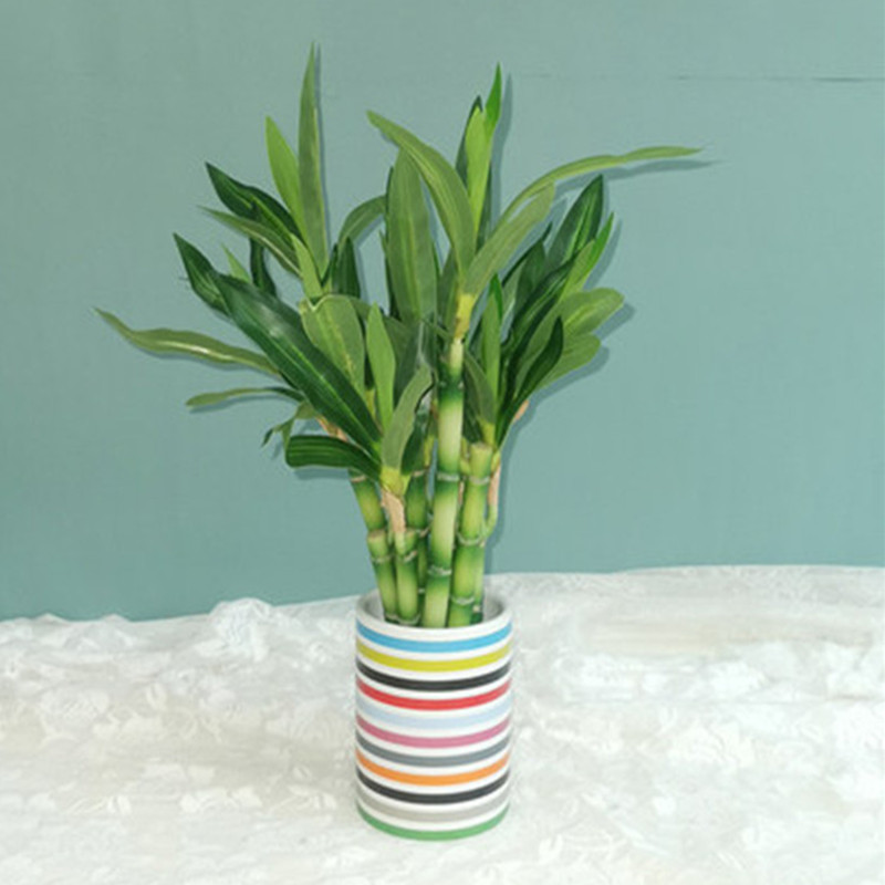 New 40cm rFtificial Lucky Bamb - огляд і ціна Desk Setup Plant
