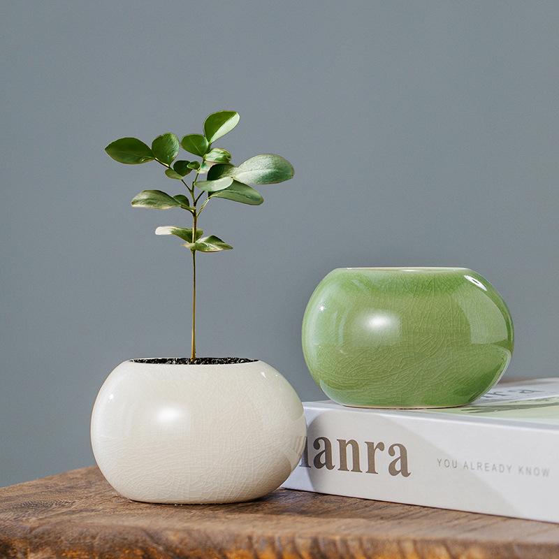 Ice Crack Glazed Ceramic Flowe - огляд і ціна Desk Setup Plant