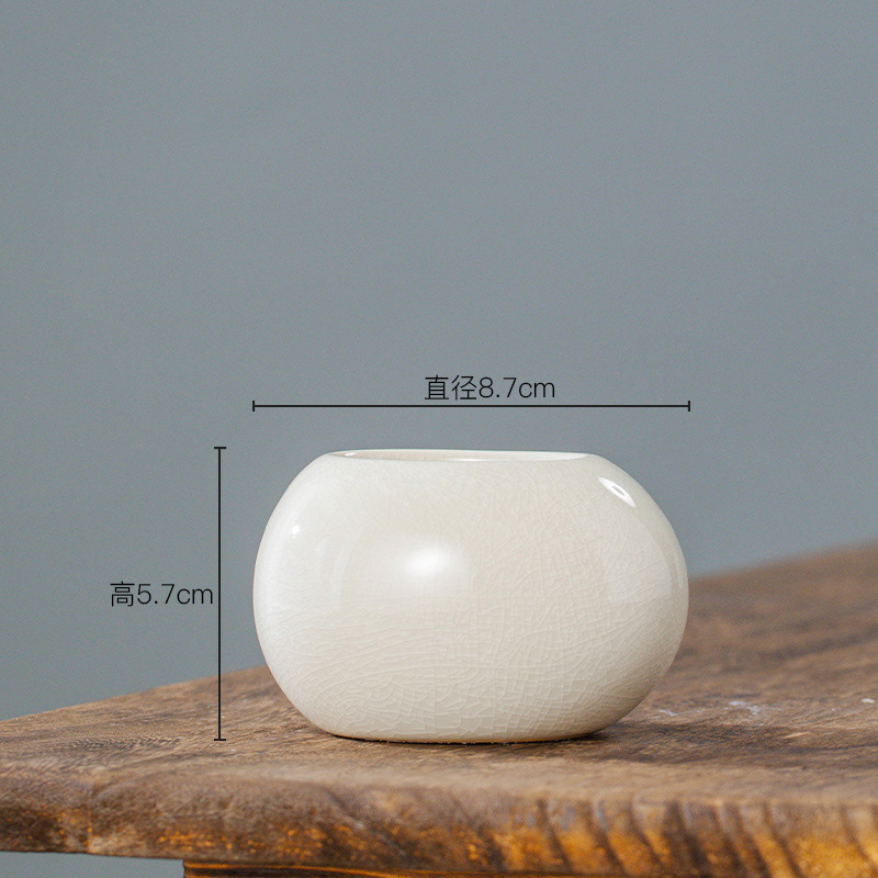 Ice Crack Glazed Ceramic Flowe - огляд і ціна Desk Setup Plant