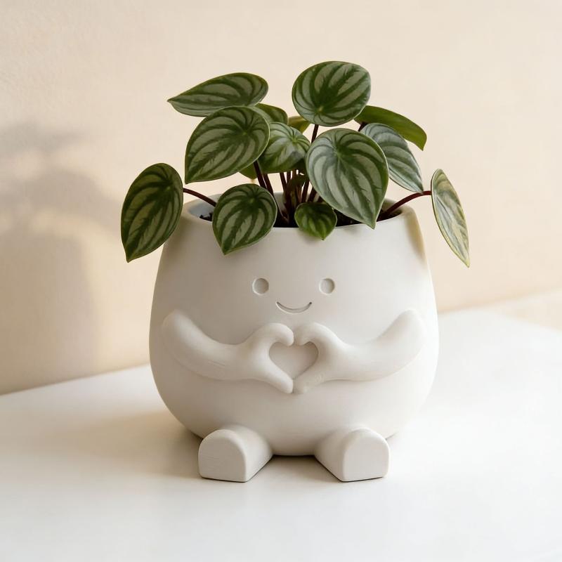 Unique Sitting Chair Face Flow - огляд і ціна Desk Setup Plant